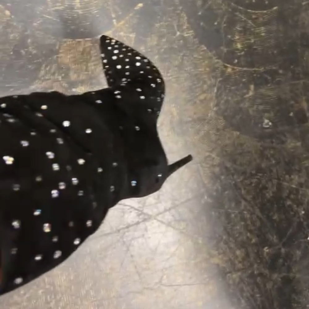 Paris Texas boots